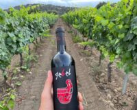Gebeliasi Cantine Barisardo